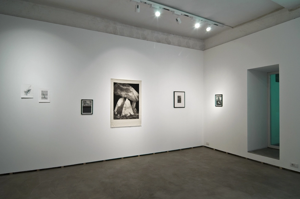 Shasta, 2011, installation view, ph. Giorgio Benni