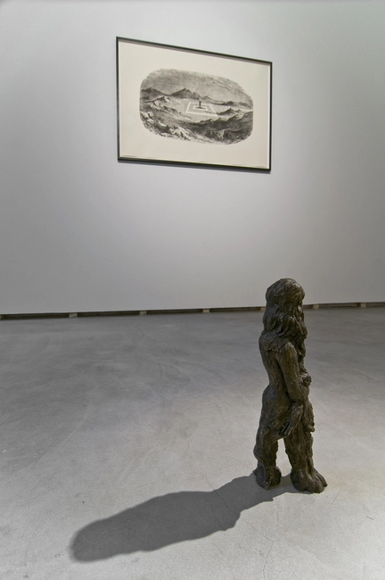 Shasta, 2011, installation view, ph. Giorgio Benni