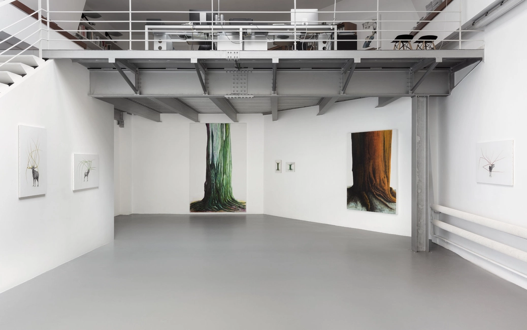 Soprattutto Alberi, 2022, installation view, ph. Andrea Rossetti