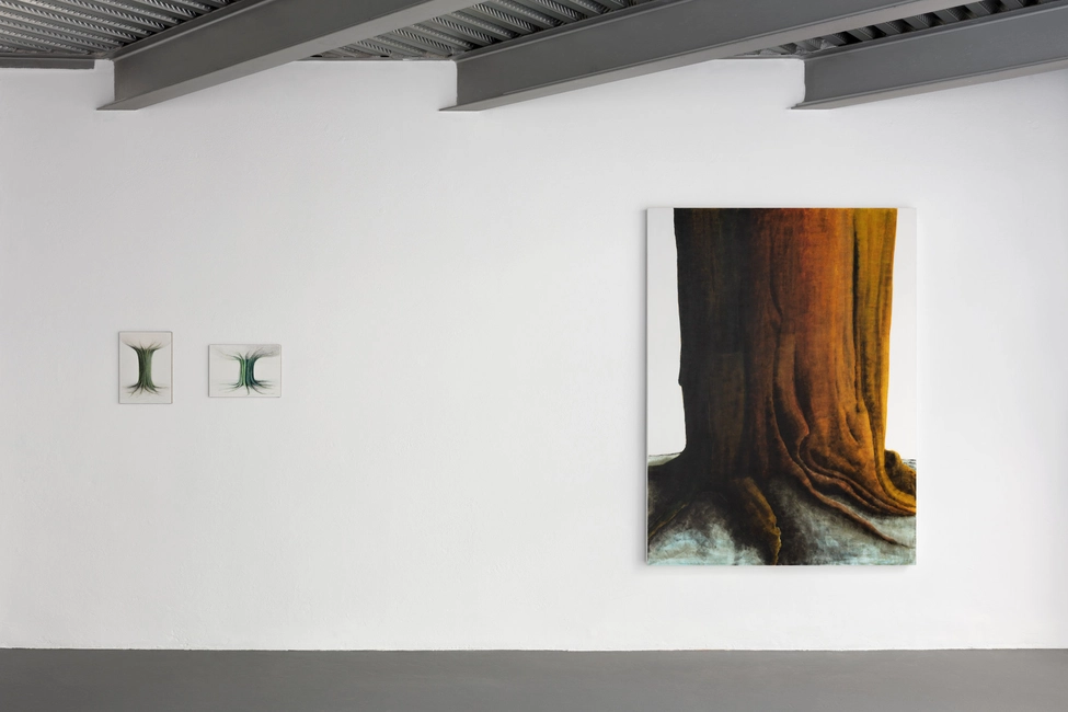 Soprattutto Alberi, 2022, installation view, ph. Andrea Rossetti