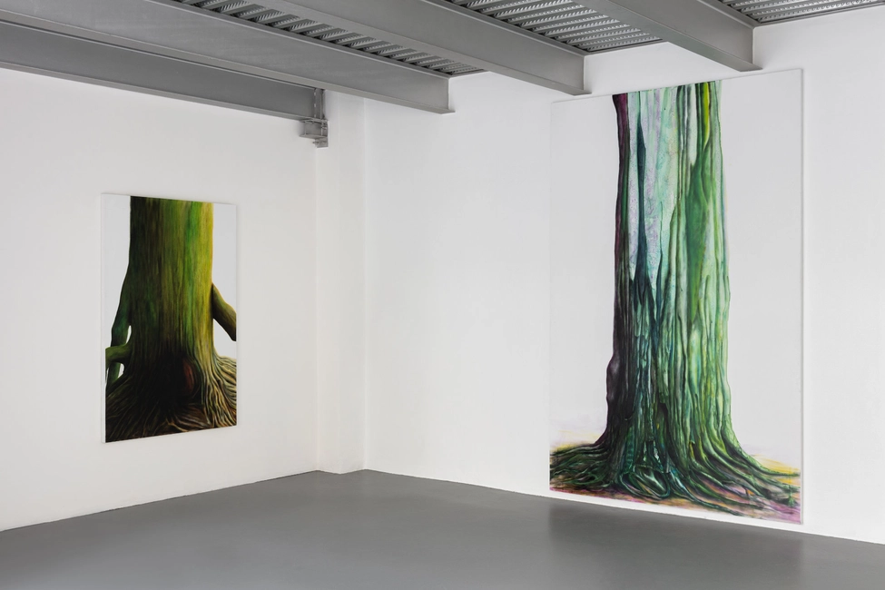 Soprattutto Alberi, 2022, installation view, ph. Andrea Rossetti