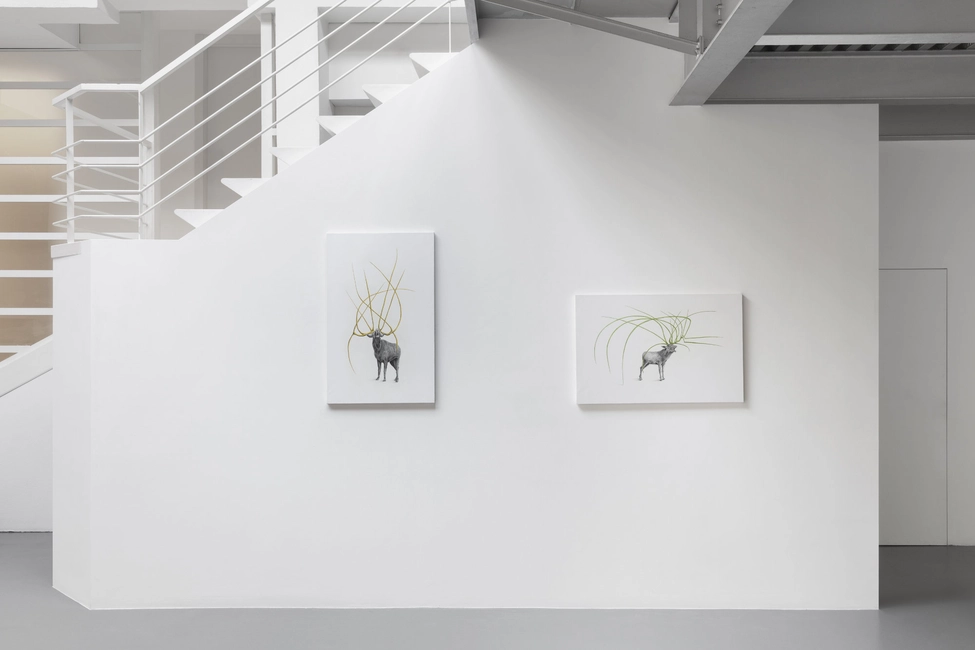 Soprattutto Alberi, 2022, installation view, ph. Andrea Rossetti