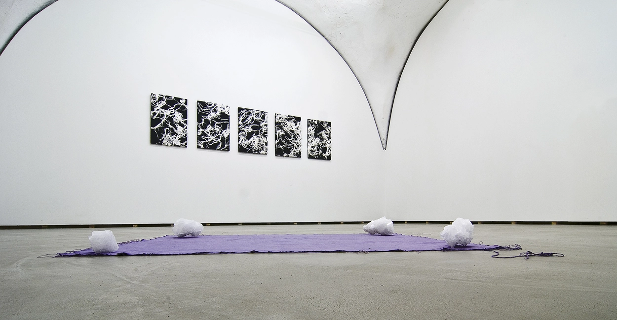 Jay Heikes, The Material Mine, 2011, installation view at Federica Schiavo Gallery. Photo: Giorgio Benni