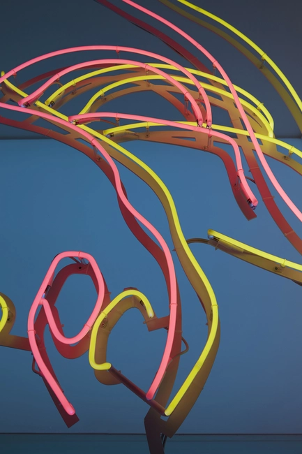 Patrick Tuttofuoco, Materia Esotica, 2025, Neon Light, 450 x 400 cm (detail); photo: Sara Magni